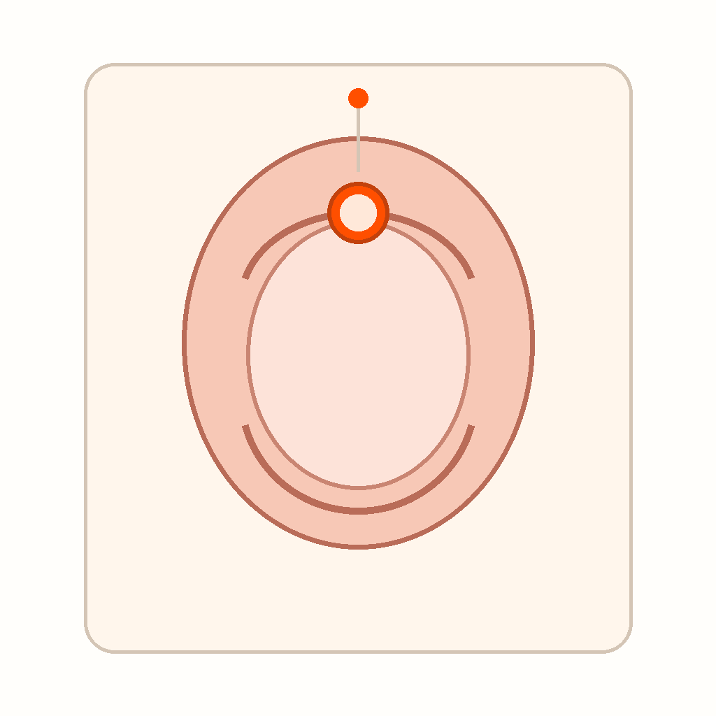 clitoris